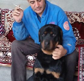 Ara Ohanjanyan