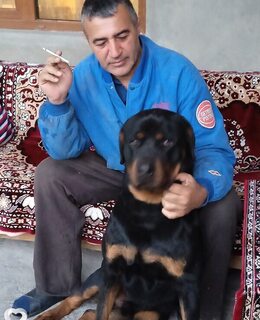 Ara Ohanjanyan